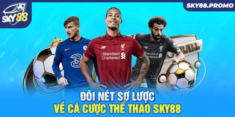 Đôi nét sơ lược về cá cược thể thao Sky88