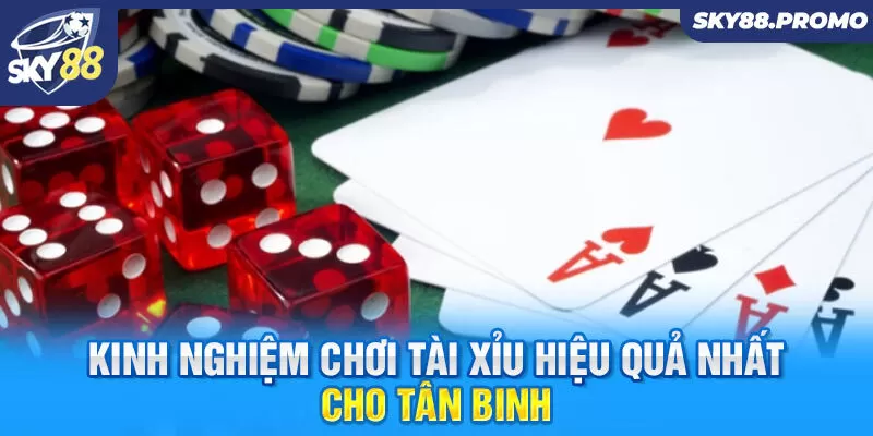 Kinh nghiệm chơi tài xỉu hiệu quả nhất cho tân binh