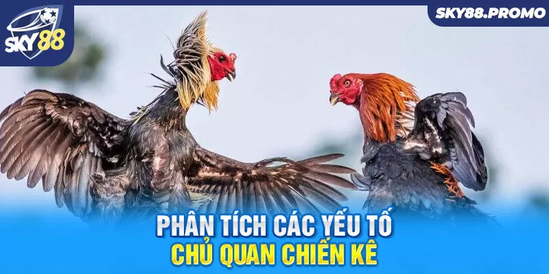 Phân tích các yếu tố chủ quan chiến kê